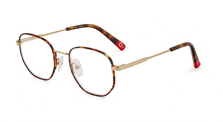 Etnia Barcelona DEXTER Eyeglasses - view 5